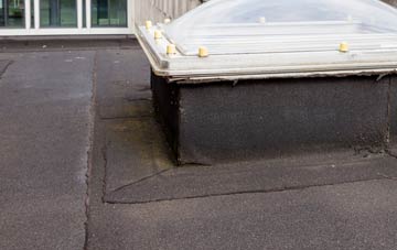 disadvantages of Catherine De Barnes flat roofs